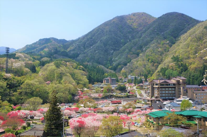 長野県阿智村