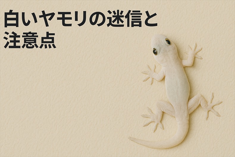 白いヤモリは飼ったり捕まえるのはよくない