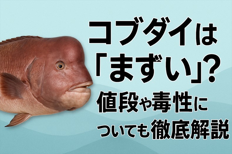 コブダイ　まずい
